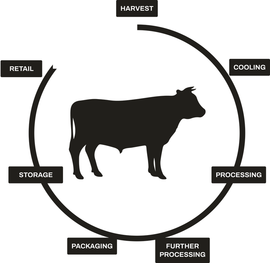 Stages of butcher process